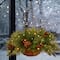 20" Pre-lit Feel Real® Colonial Artificial Christmas Hanging Basket with Cones, Red Berries &50 Warm White Battery Operated LED Lights w/Timer